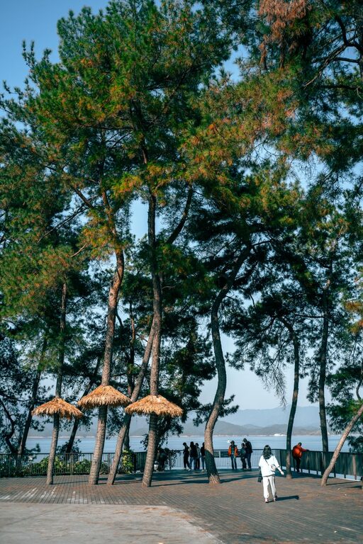 Fotografowanie domowych wypieków jako kreatywne hobby
